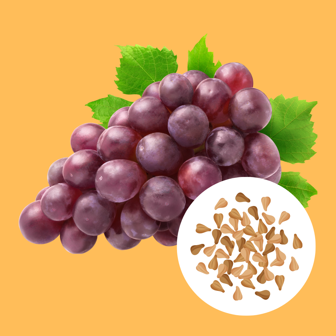 Grape Seed