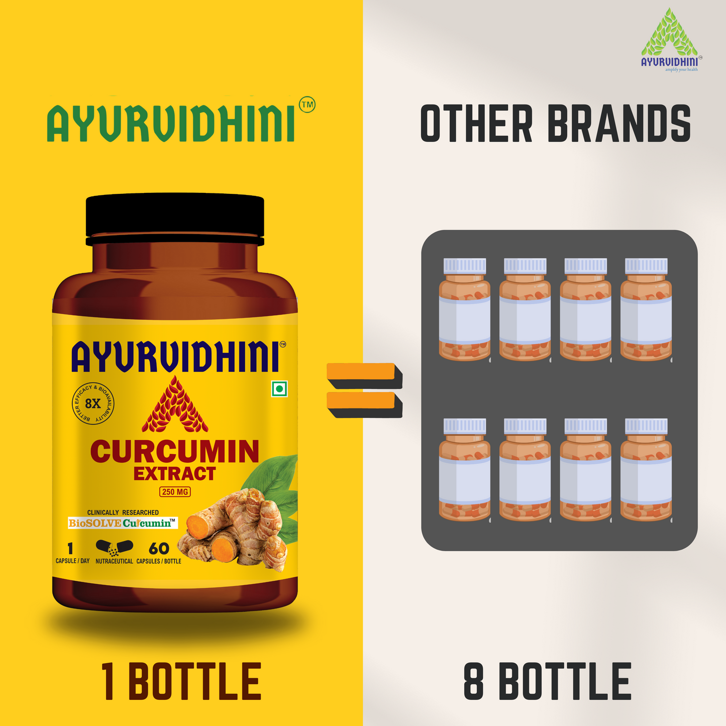 Curcumin Extract